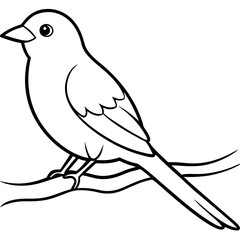Bird perching on a branch vector art illustration