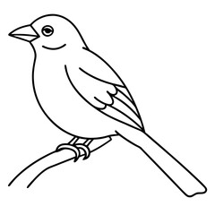 Bird perching on a branch vector art illustration