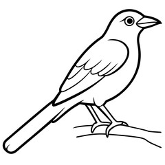 Bird perching on a branch vector art illustration