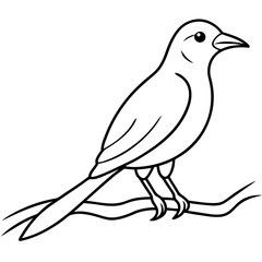 Bird perching on a branch vector art illustration