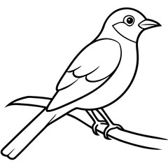 Bird perching on a branch vector art illustration