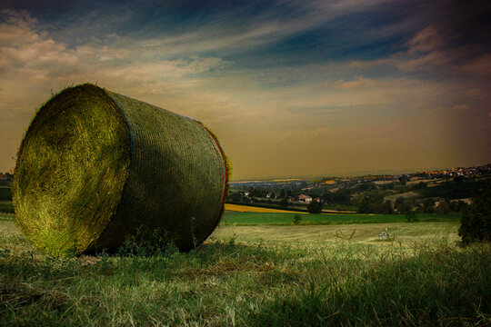 Close-up of a hay bale in a field, Sarezzano, Tortona, Alessandria, Piedmont, Italy