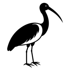  Ibis bird black vector silhouette illustration