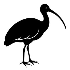  Ibis bird black vector silhouette illustration