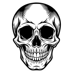 skull on black illustration 