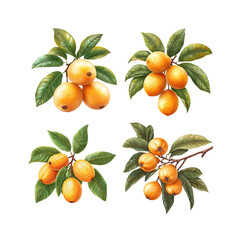 branch of orange