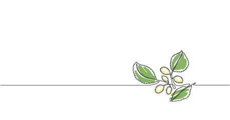 Simple vector illustration with the branch of white mulberry. Outline art with mulberry.