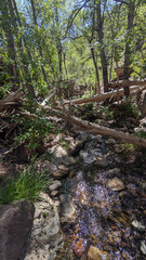 Tonto Natural Bridge State Park in Arizona