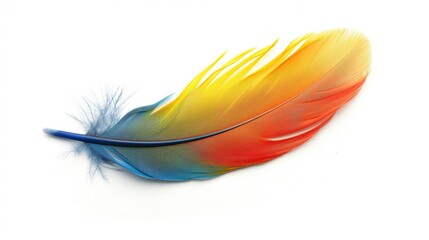 Multi-colored parrot feather on a white background, isolate