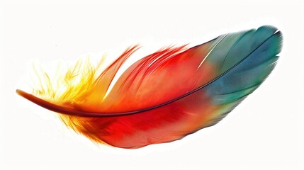 Multi-colored parrot feather on a white background, isolate
