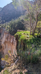 Tonto Natural Bridge State Park in Arizona