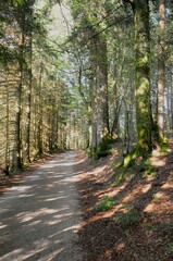 Marked hiking and recreational trails in the Risnjak National Park - Croatia