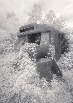 Old abandoned bus in dense vegetation overgrown with weeds and a barrel in the foreground, Australia