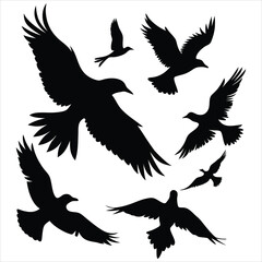 Set of Bird silhouettes. Vector elements for design.