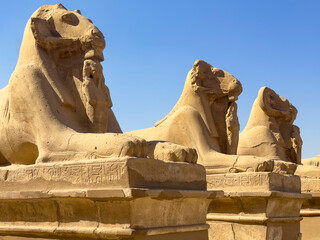 Embark on a magical journey through Karnak's Avenue of the Sphinxes, an ancient Egyptian...