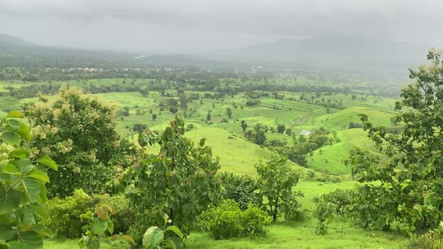 lush green scenery seen during the monsoon at Patan near koynanagar in Konkan, Maharashtra, India