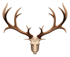 Naklejka premium PNG Antler wildlife animal mammal.