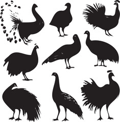Beautiful peacock silhouette vector