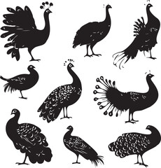 Obraz premium Beautiful peacock silhouette vector