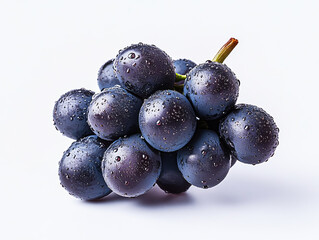 Bunch of black grapes with water drops isolated on white background.
