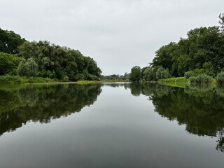 reflection of trees in the water