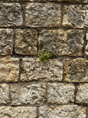 stone wall texture