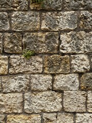 stone wall texture