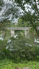concrete bridge in the woods