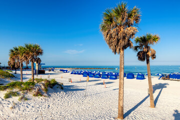 Beautiful Clearwater beach in sunny day with palm trees on white sand in Clearwater, Florida, USA