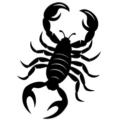 scorpion silhouette isolated on white background