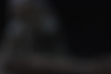 This striking photograph captures an Iguana lizard basking in its tropical environment. The lizard's textured scales, vibrant green color, and calm posture are beautifully highlighted