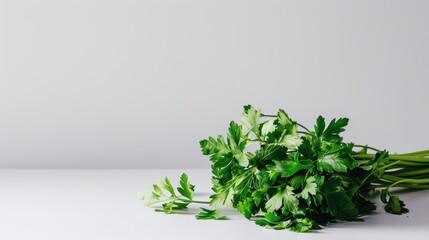 Minimalist image of fresh parsley on a white surface with a simple background