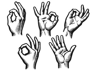 Fototapeta premium Various hand gestures in vintage engraving style on white background. Vector, generative ai.