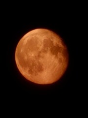 sunset, sunset by the river, goats and sunset in the mountains