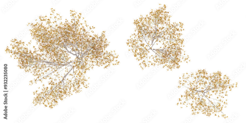 Poster juneberry trees collection with realistic style from top view