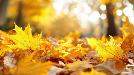   A group of yellow leaves lay atop a pile of brown and yellow leaves on the ground before trees