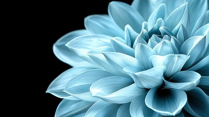 Obraz premium A clear picture of a blue flower on a dark background with a sharp focus on its center