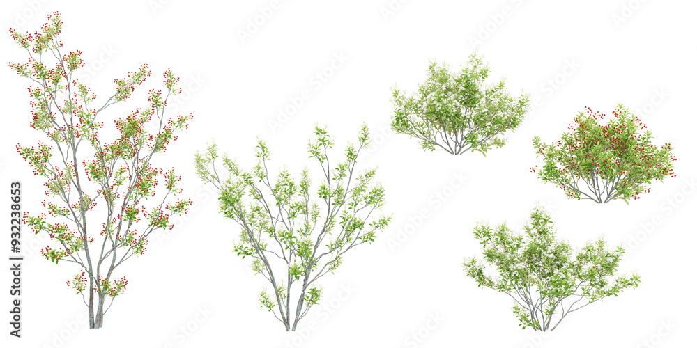 Poster set of red chokeberry trees on transparent background, 3d rendering