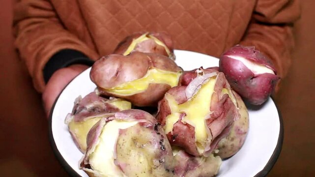 El Sabor de la Papa Peruana.Tradici&oacute;n Quechua y Cocina Rural en Per&uacute;. Estilo de Vida Rural