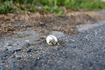 Broken Eggshell on Pavement with Emphasis on Negative Space and Fragility