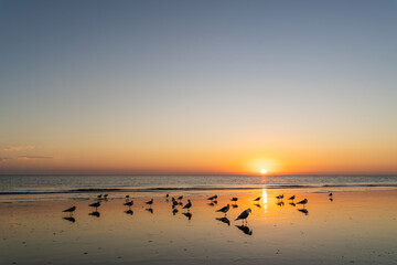 sunrise on the beach