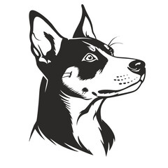 portrait of a dog, basenji bread
