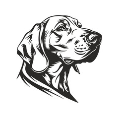 black and white heads, bavarian mountain scent hound