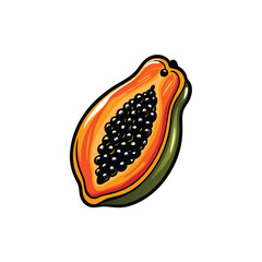 Vector illustration of a whole papaya and a cut papaya with seeds.