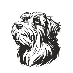bearded collie dog, vector head. Laser cut file