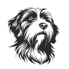 bearded collie dog, vector head. Laser cut file