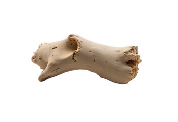 A dynamic driftwood piece with intricate twists and a smooth texture isolated on transparent background