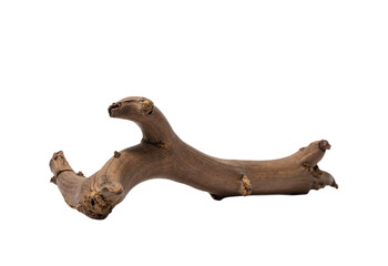 A dynamic driftwood piece with intricate twists and a smooth texture isolated on transparent background