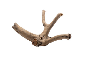 Fototapeta premium A dynamic driftwood piece with intricate twists and a smooth texture isolated on transparent background