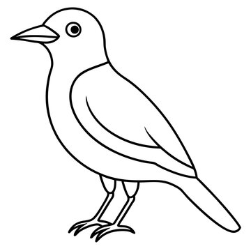 recommend clip art: bird line art vector